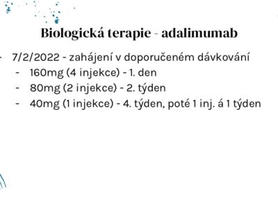 Snímek9