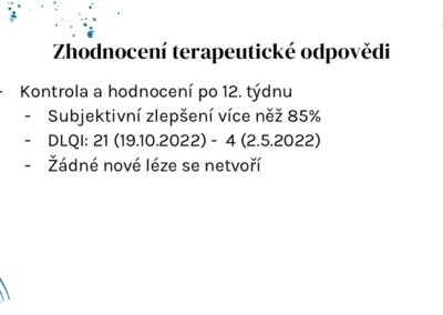 Snímek10
