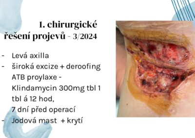 Snímek12