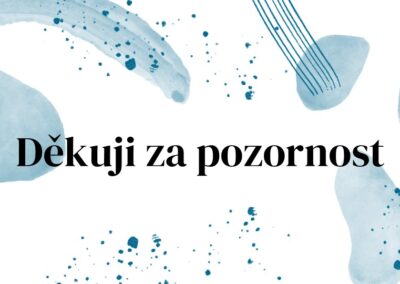Snímek16