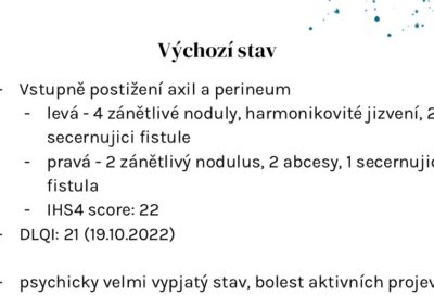 Snímek4