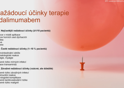Snímek15