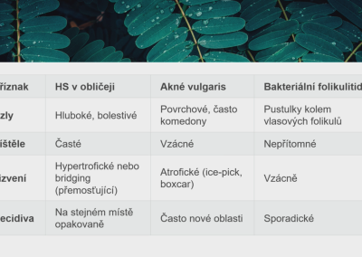 Snímek1