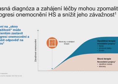 Snímek19
