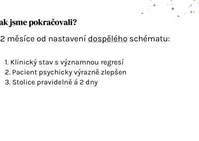 Snímek10