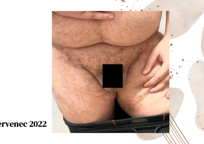 Snímek12