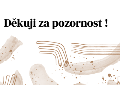 Snímek16