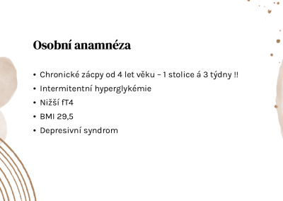 Snímek3