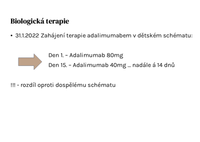 Snímek8
